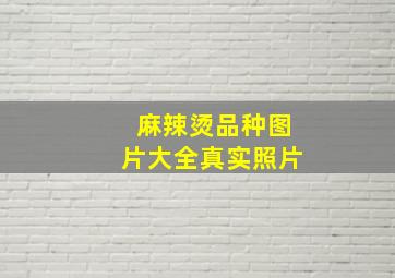 麻辣烫品种图片大全真实照片