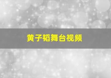 黄子韬舞台视频