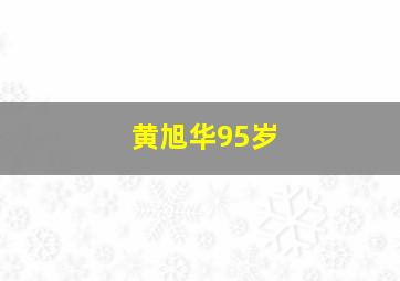 黄旭华95岁