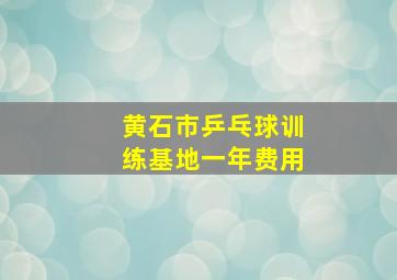 黄石市乒乓球训练基地一年费用