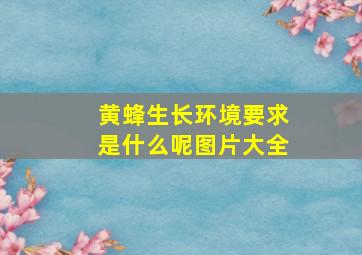 黄蜂生长环境要求是什么呢图片大全