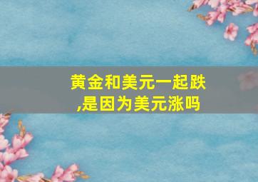 黄金和美元一起跌,是因为美元涨吗