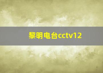 黎明电台cctv12