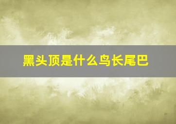 黑头顶是什么鸟长尾巴