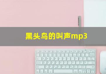 黑头鸟的叫声mp3