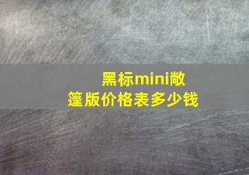 黑标mini敞篷版价格表多少钱