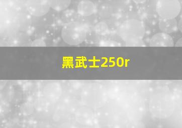 黑武士250r