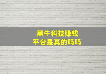 黑牛科技赚钱平台是真的吗吗