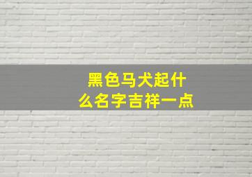 黑色马犬起什么名字吉祥一点