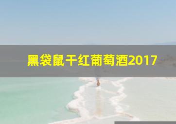 黑袋鼠干红葡萄酒2017