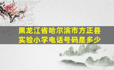 黑龙江省哈尔滨市方正县实验小学电话号码是多少