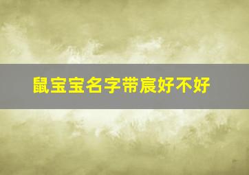 鼠宝宝名字带宸好不好