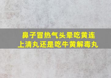 鼻子冒热气头晕吃黄连上清丸还是吃牛黄解毒丸