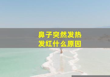 鼻子突然发热发红什么原因