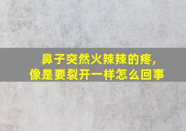 鼻子突然火辣辣的疼,像是要裂开一样怎么回事