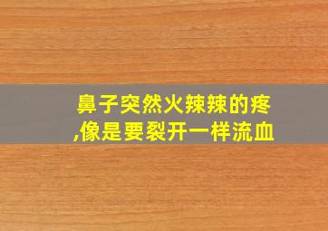 鼻子突然火辣辣的疼,像是要裂开一样流血