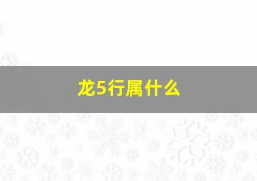 龙5行属什么