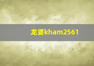 龙婆kham2561