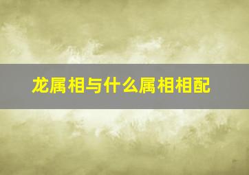 龙属相与什么属相相配