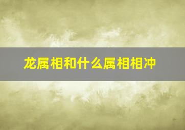 龙属相和什么属相相冲