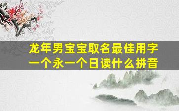 龙年男宝宝取名最佳用字一个永一个日读什么拼音