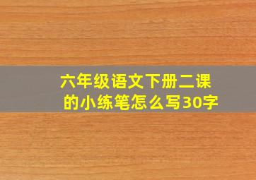 六年级语文下册二课的小练笔怎么写30字