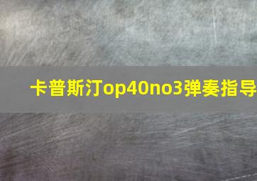 卡普斯汀op40no3弹奏指导