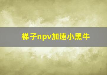 梯子npv加速小黑牛