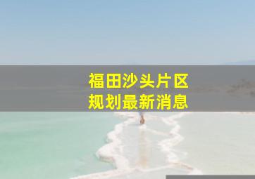 福田沙头片区规划最新消息