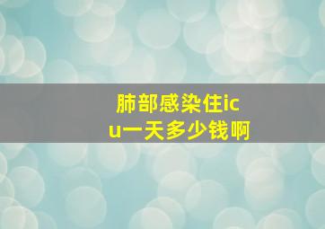 肺部感染住icu一天多少钱啊